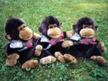 monkey