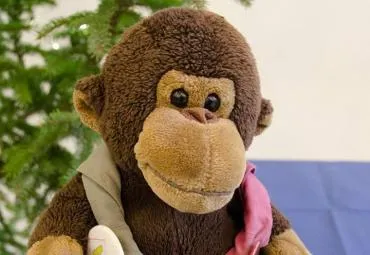 monkey